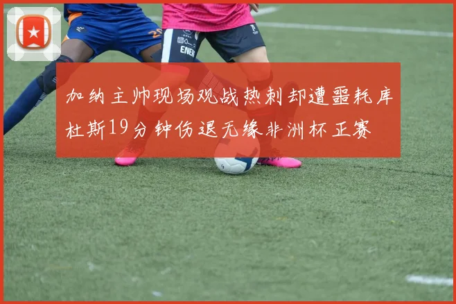 加纳主帅现场观战热刺却遭噩耗库杜斯19分钟伤退无缘非洲杯正赛