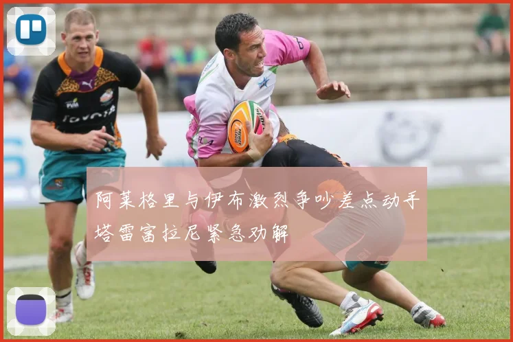 阿莱格里与伊布激烈争吵差点动手塔雷富拉尼紧急劝解